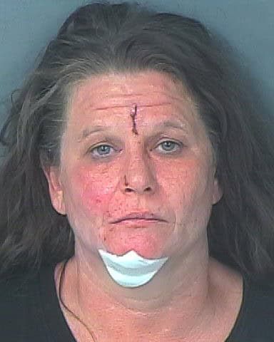 FOX, HEATHER RENEA
                                 – 202500171073/1