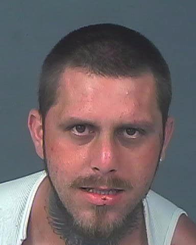 POWELL, JAMES CHRISTOPHER
                                
                                 – 202500171293/2