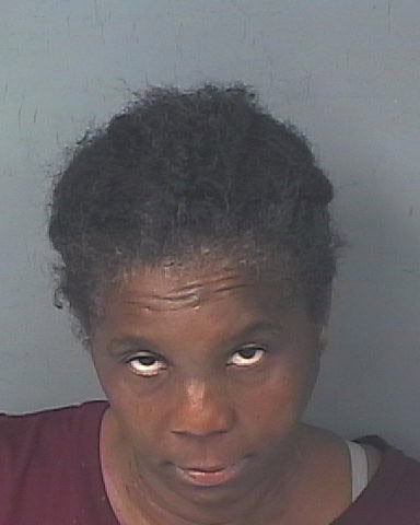 WILLIAMS, JENNIFER LYNN
                                
                                 – 202500172568/1