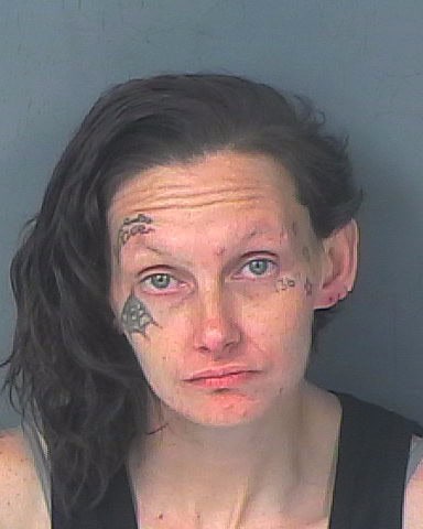 EGGLETON, JESSICA ANN
                                
                                 – 202500172909/1
