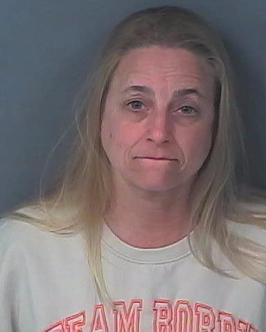 WILSON, KRISTIN REBECCA
                                 – 202500180667/1