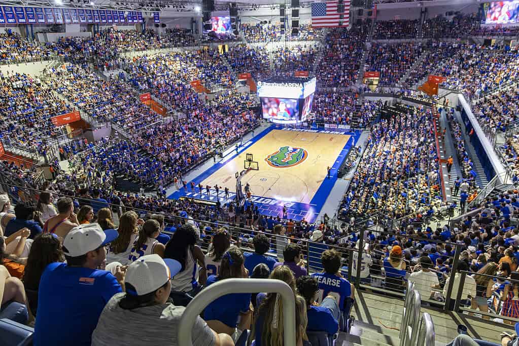 Gator fans watch the University of Florida men's basketball team play in the NCAA championship at the Stephen C. O'Connell Center in Gainesville, Fla., on Monday, April 8, 2025. (Photo by Hanna Maglio)