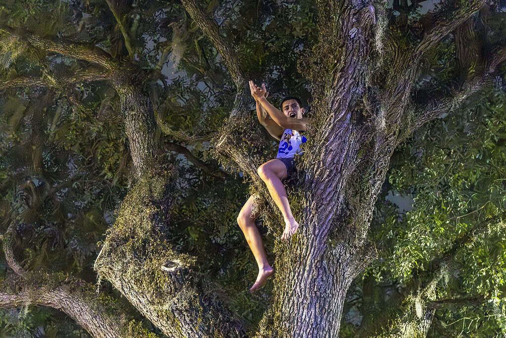 A Gator fan sits in a tree off West University Avenue in Gainesville, Fla., on Monday, April 8, 2025. (Photo by Hanna Maglio)