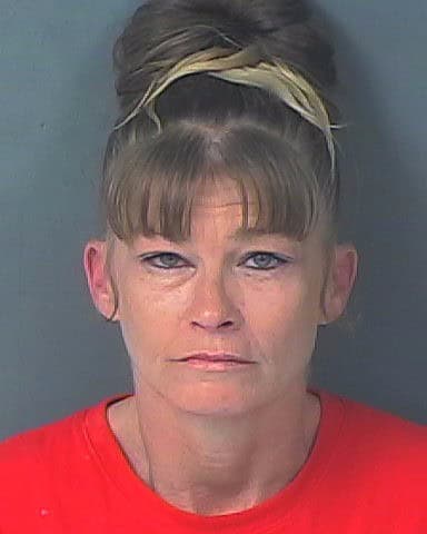 SMITH, TAMMY LYNN
                                
                                 – 202500185945/1