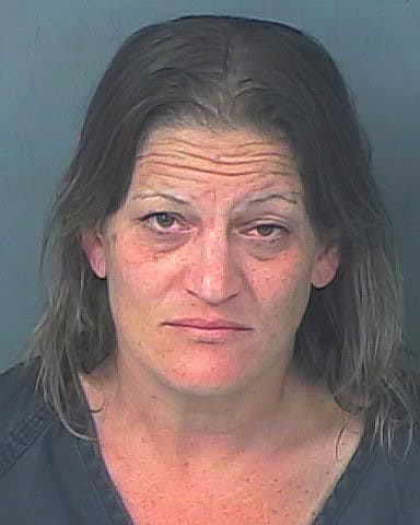 BENYA, TERESA ANNE
                                 – 202500181858/1