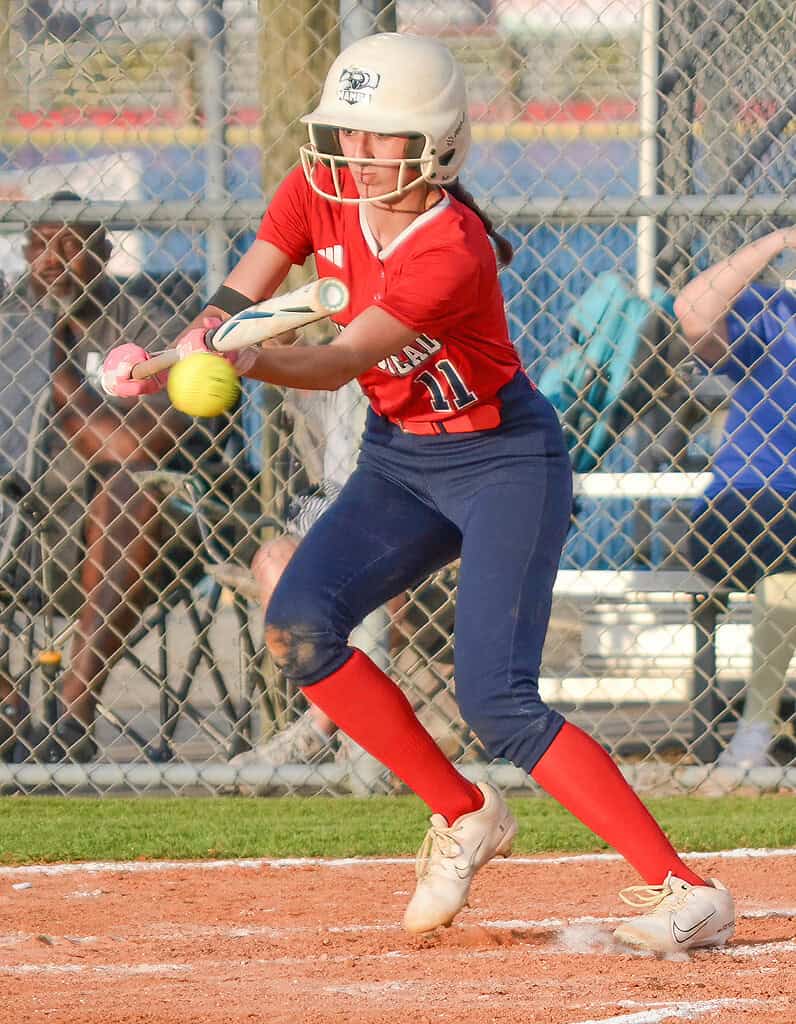 Ava Miller attempts to lay down a bunt for Springstead in Wednesday's home game against Palm Harbor University. [Credit: Chris Bernhardt Jr.]