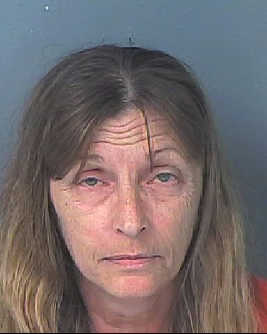 HORMERTE, CELIA ANNE
                                 – 202500198633/1