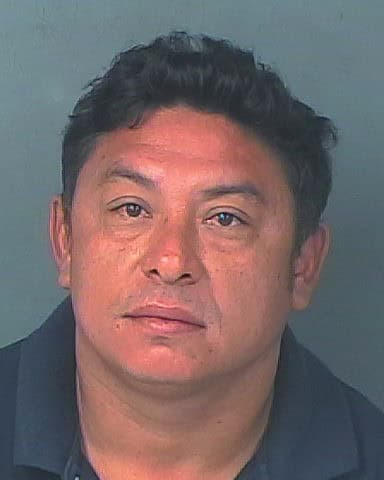 ALEMAN LOPEZ, ELMER ENRIQUE
                                 – 202500199218/1