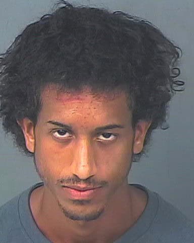 SAAD, FERAS MOHAMED
                                
                                 – 202500198454/1