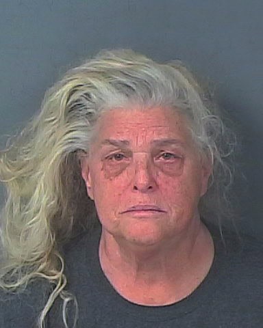 THAYER, LYNNE MARIE
                                
                                 – 202500199612/1