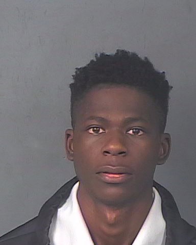 LAWSON, RODNEY ALEXANDER Jr
                                 – 202500196239/1