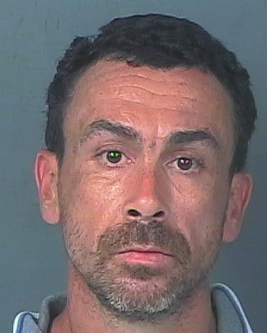 WHITAKER, STEPHEN CHRISTOPHER
                                 – 202500209486/1