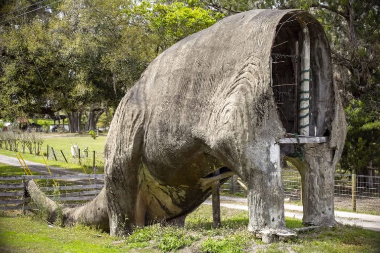 Brooksville: My Jurassic Hometown