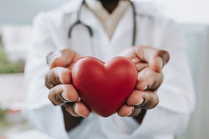 Portrait of a doctor holding a heart in his hands