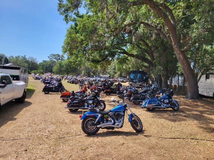 A large group of motorcycles parked under trees